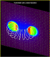 Torus cross section